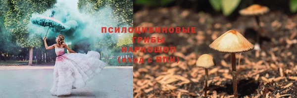 сатива Горно-Алтайск