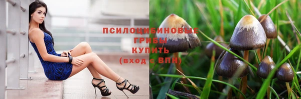 крисы Горнозаводск