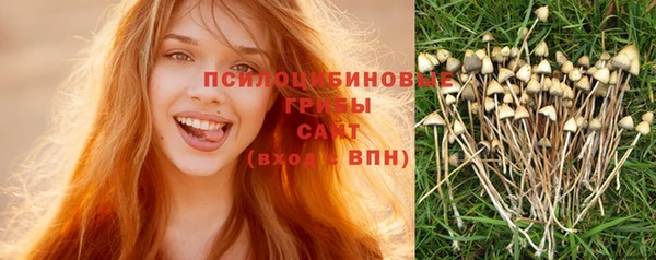 альфа пвп Гусев