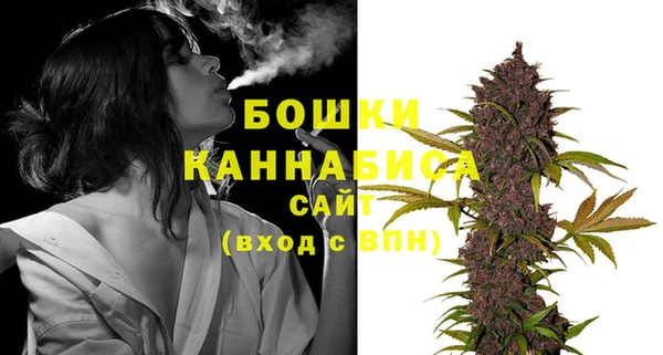 альфа пвп Гусев