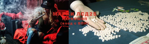 сатива Горно-Алтайск